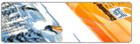 cme calendar